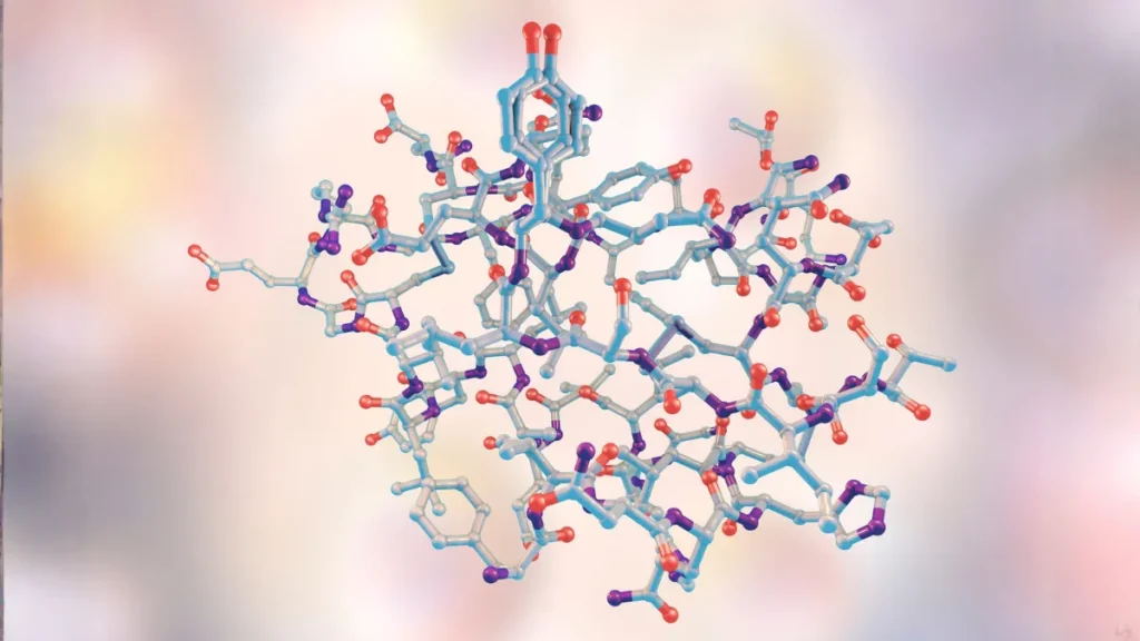 bazal metabolizma, bazal metabolizma nedir, bazal metabolizma hızı nedir, bazal metabolizma hızı
