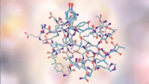 bazal metabolizma, bazal metabolizma nedir, bazal metabolizma hızı nedir, bazal metabolizma hızı