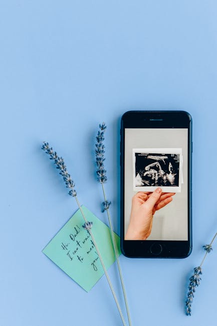 Sık Sorulan Sorular